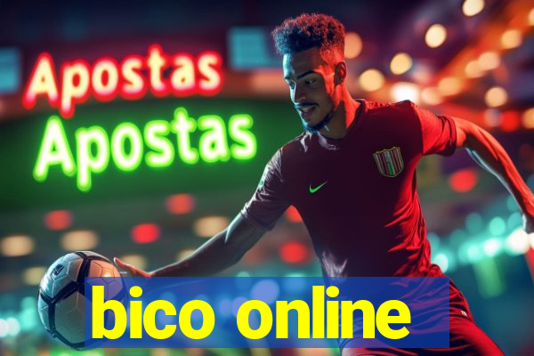 bico online